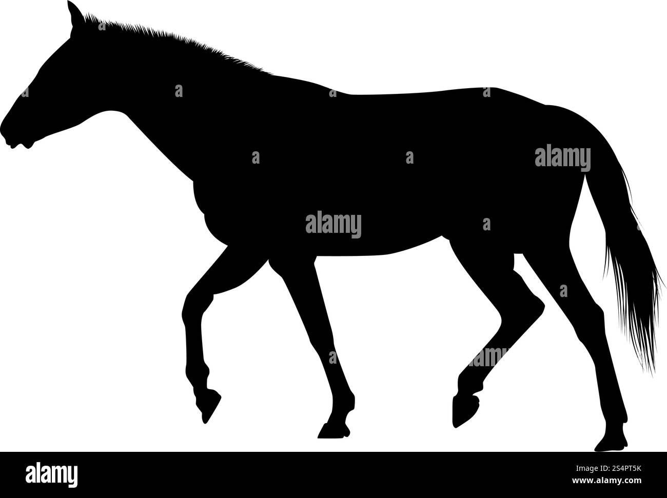 Silhouette de cheval. Lissage extrêmement détaillé. Illustration vectorielle.. silhouettes de chevaux Illustration de Vecteur