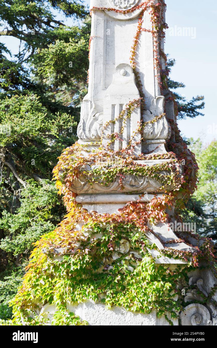 Dans la colonne couverte de lierre de jardin Palais Massandra en Crimée Banque D'Images