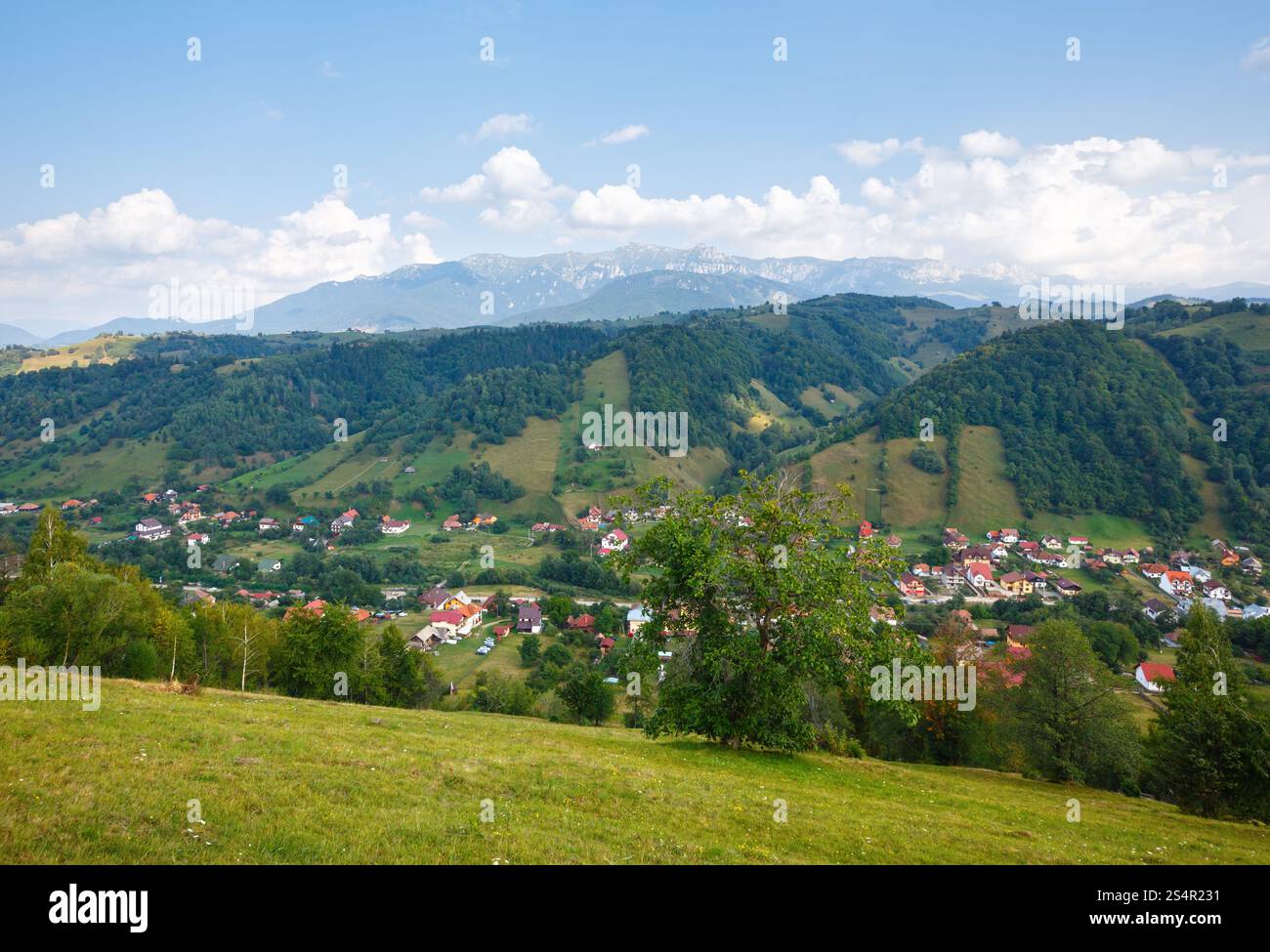 Le village de Bran vue d'été (près de Brasov, Roumanie). Banque D'Images
