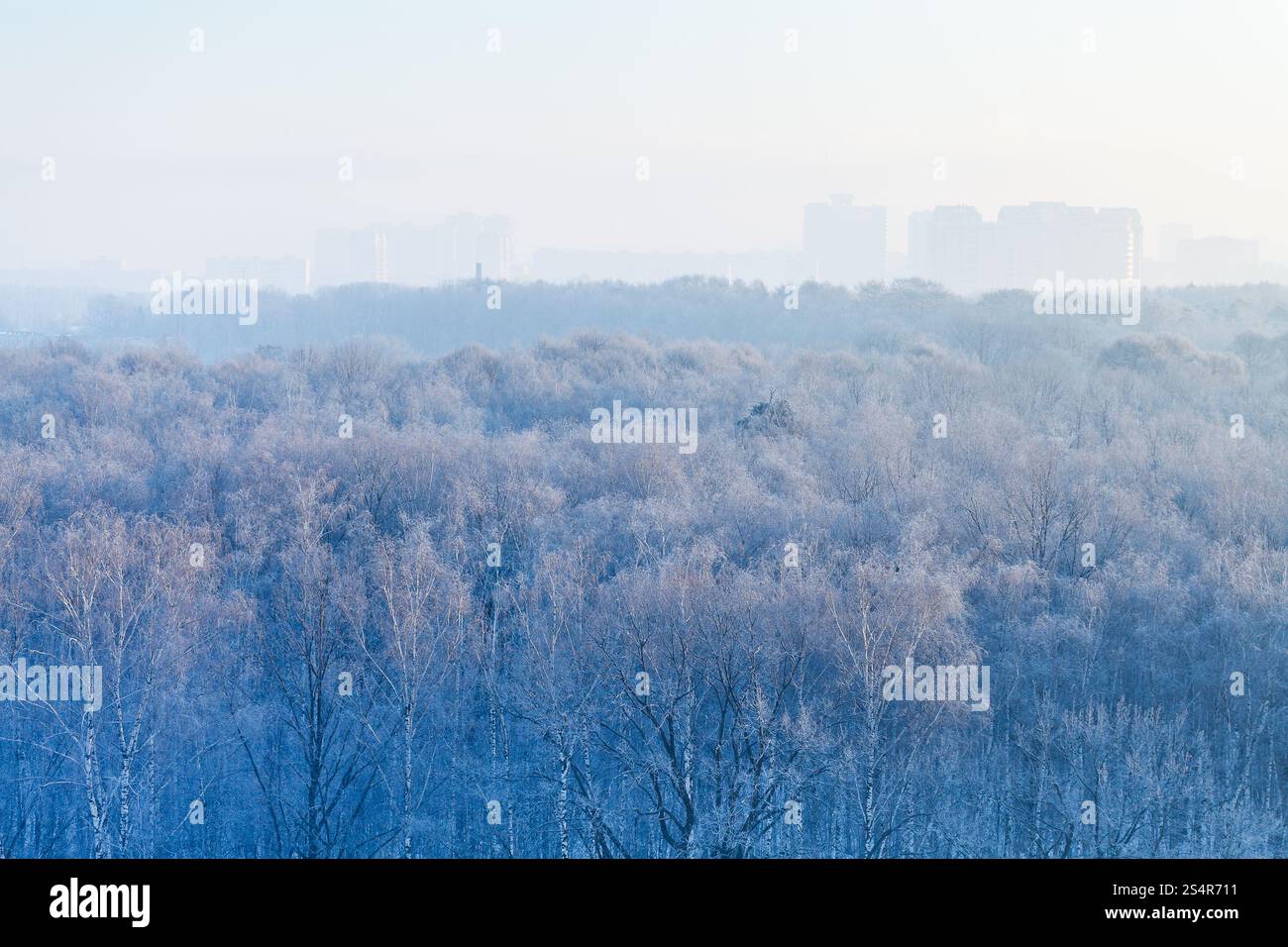 Plus tôt le matin dans la ville et forêt gelée hiver froid Banque D'Images