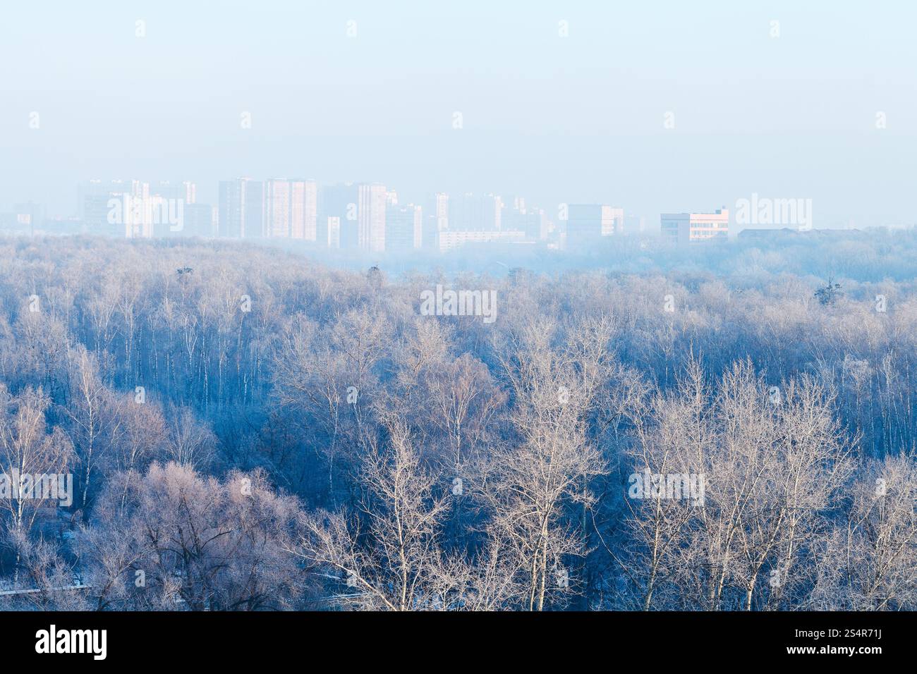 Tôt le matin, plus de forêt et de ville en hiver froid Banque D'Images