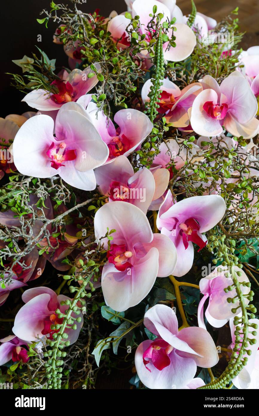 Lumière romantique merveilleux bouquet de fleurs orchidée rose composition Banque D'Images