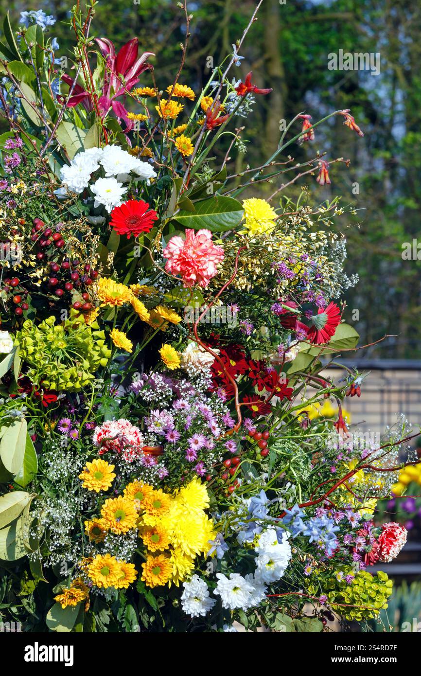 Grandes fleurs multicolores bouquet sur spring park Banque D'Images