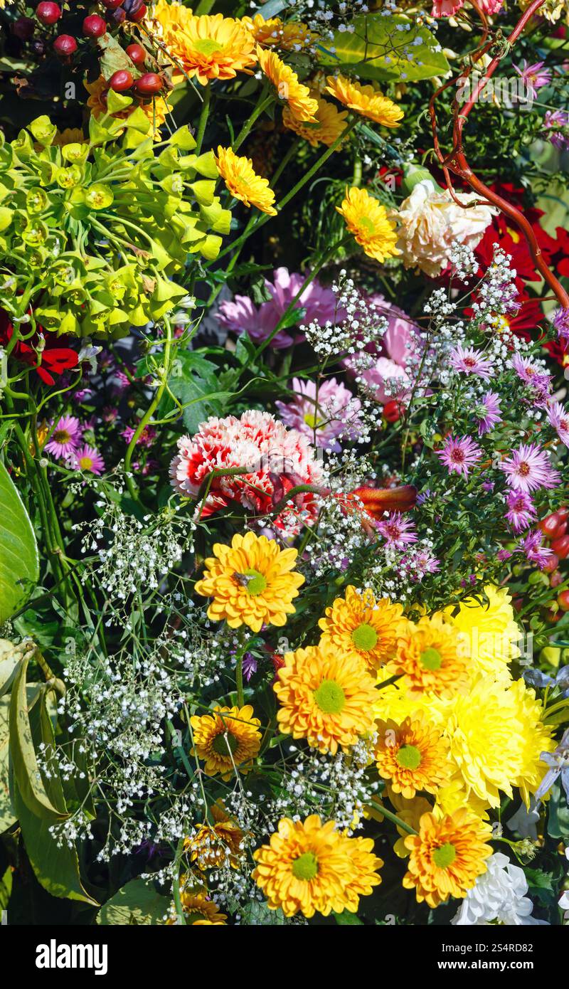 Grandes fleurs multicolores bouquet sur spring park Banque D'Images