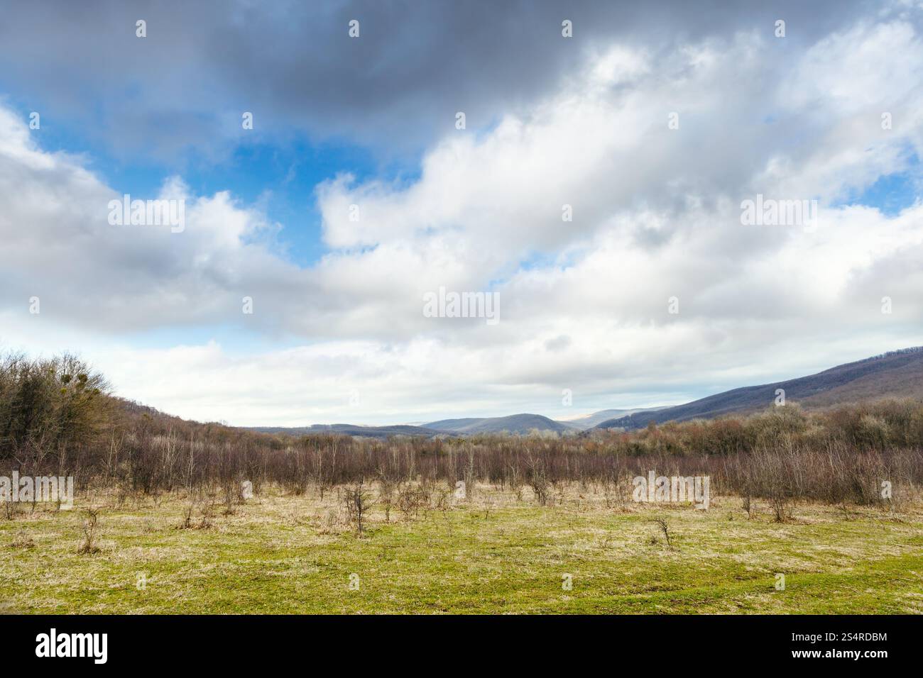 Paysage de montagne du Caucase faible au début du printemps 24 Banque D'Images
