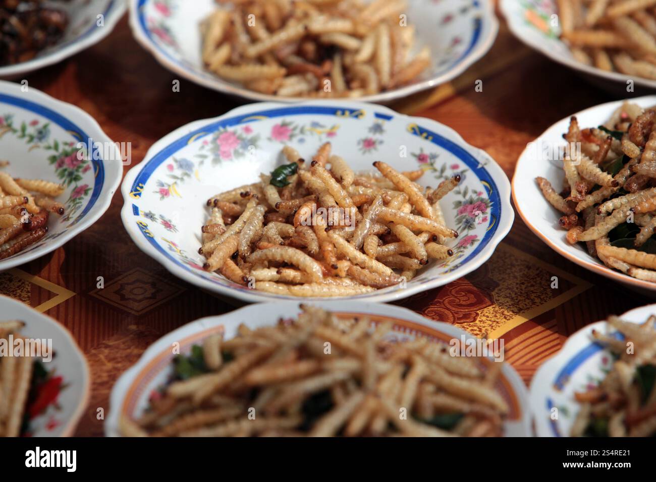 Faire frire les insectes dans un marché traditionnel de la ville de Vientiane au Laos dans le Souteastasia. ASIE LAO VIENTIANE Banque D'Images