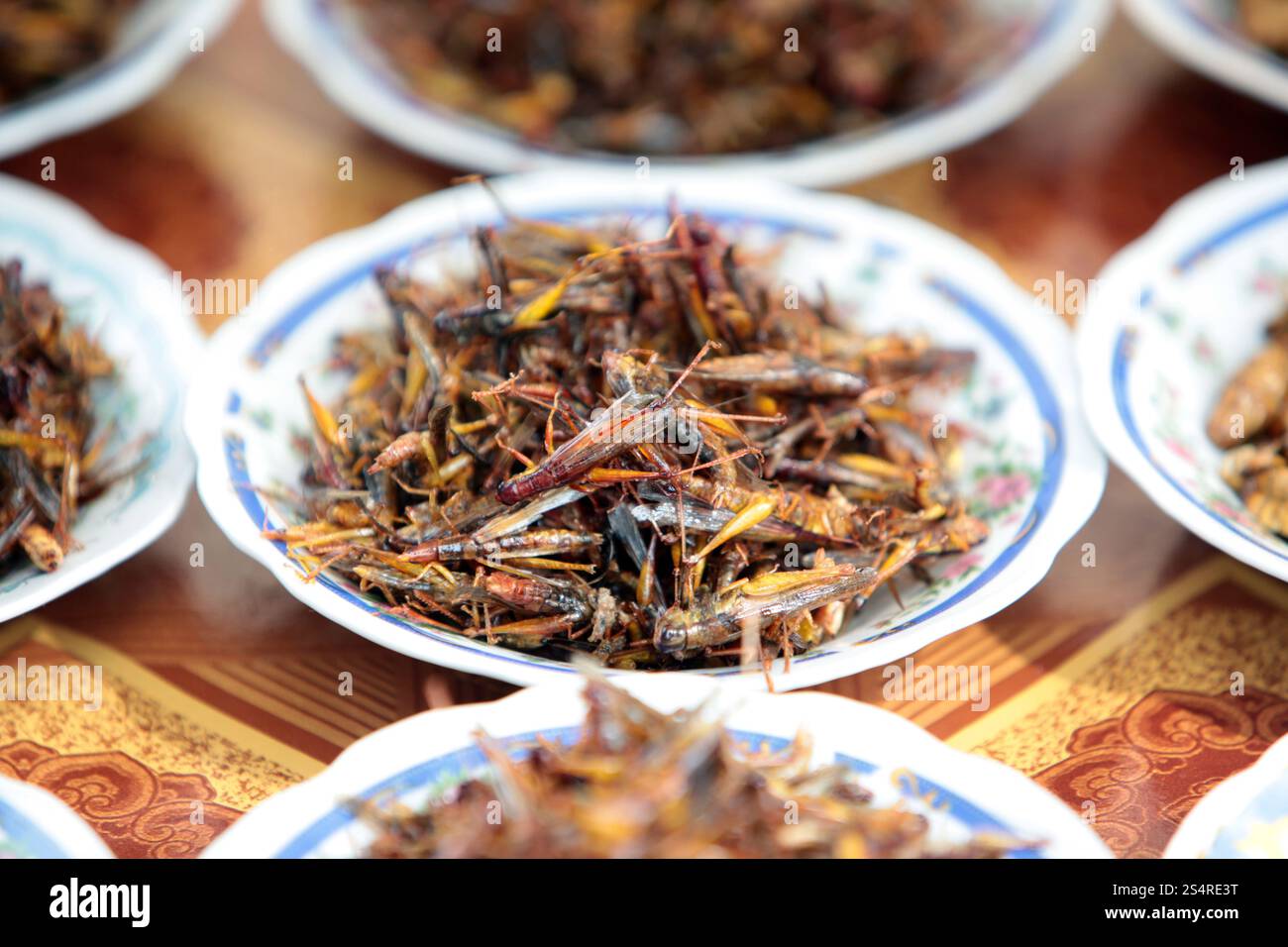 Faire frire les insectes dans un marché traditionnel de la ville de Vientiane au Laos dans le Souteastasia. ASIE LAO VIENTIANE Banque D'Images