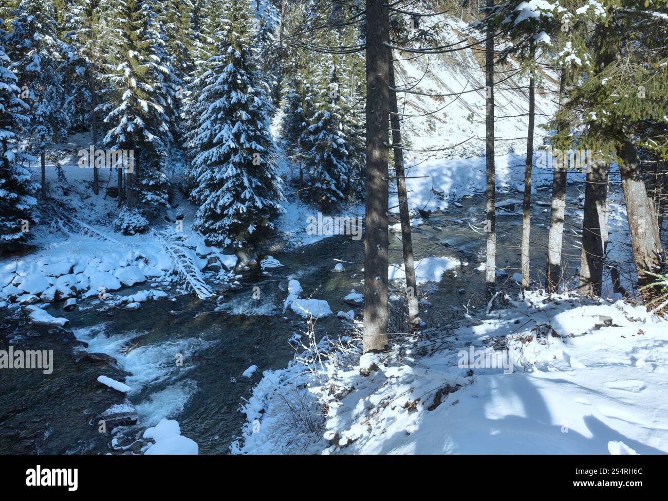 Rivière d'hiver avec des sapins sur la rive. Banque D'Images