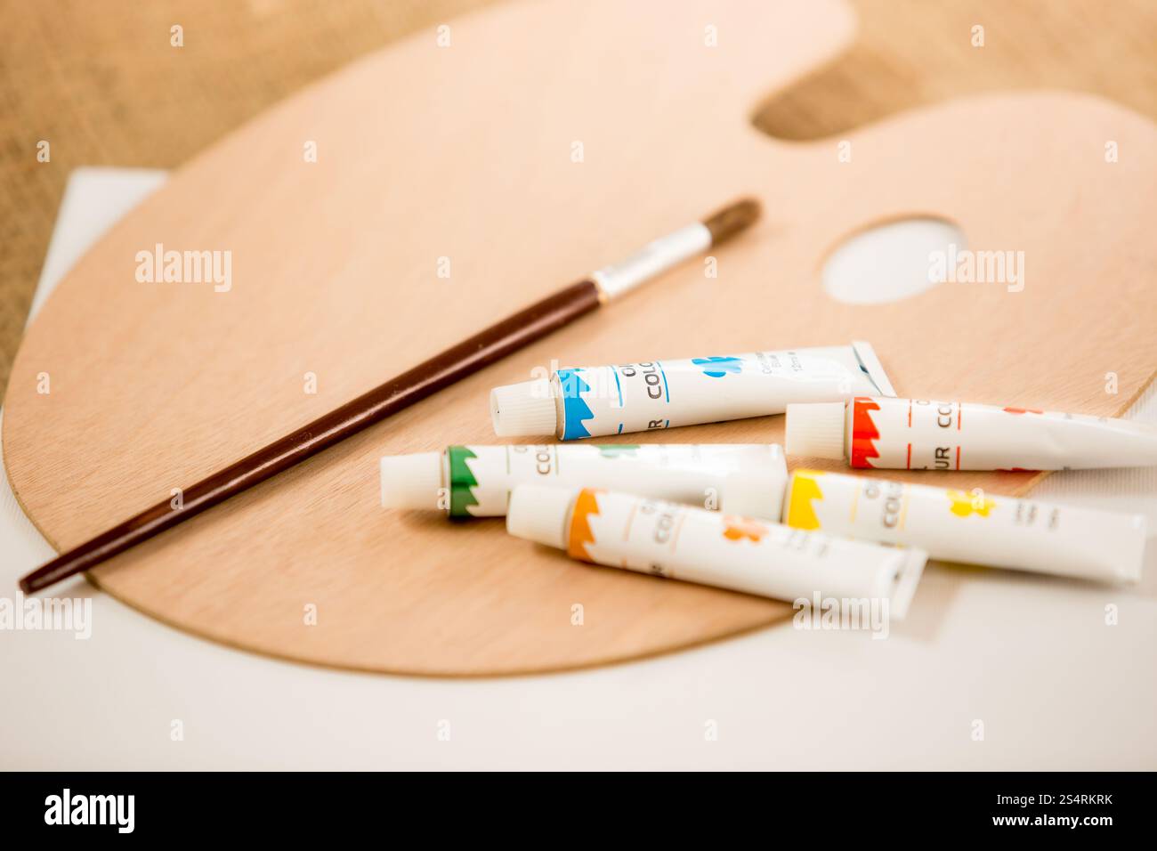 Les peintures à l'huile en tubes et toile blanche sur palettes Banque D'Images