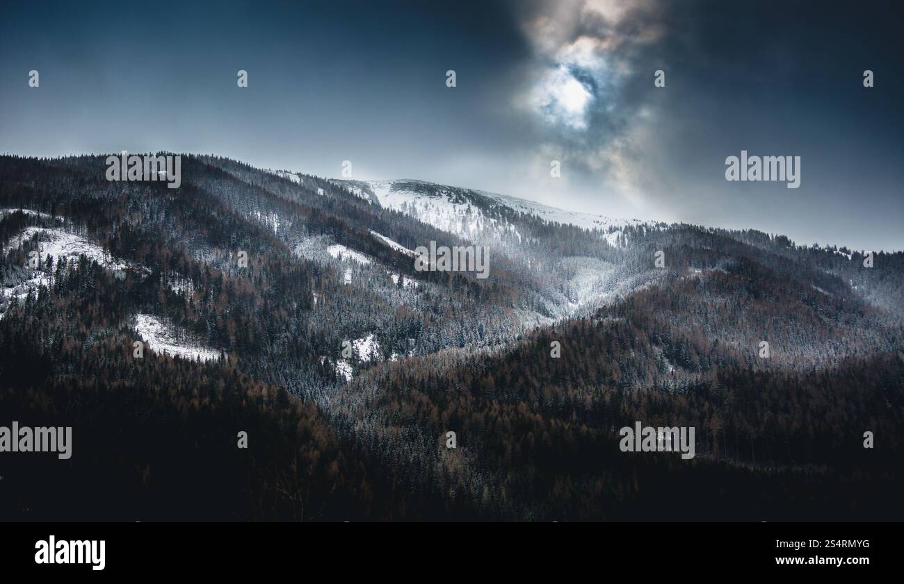 Magnifique paysage de hautes montagnes avec des forêts à jour nuageux Banque D'Images