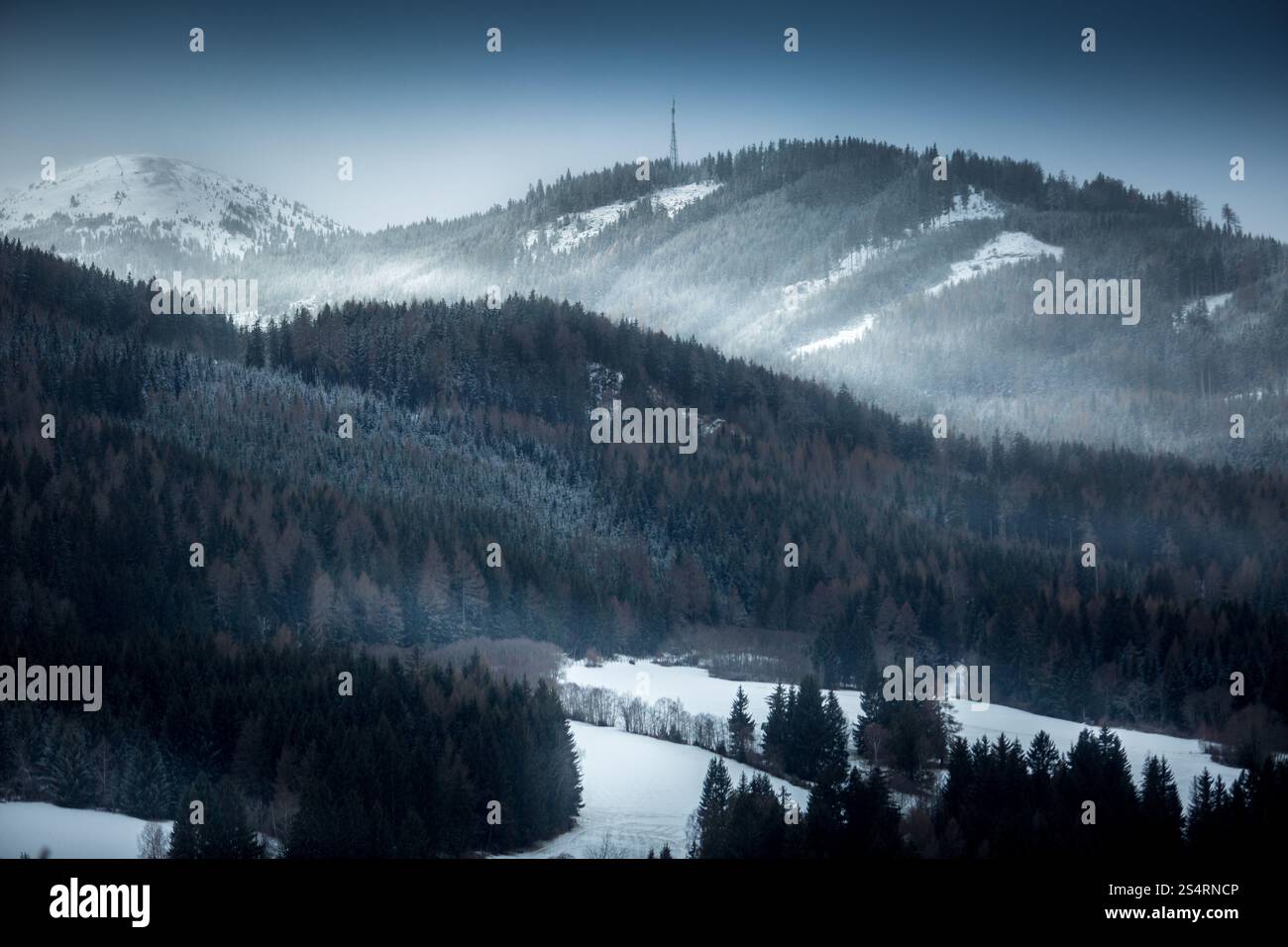 Magnifique paysage de hautes montagnes couvertes de forêt enneigée à soir Banque D'Images