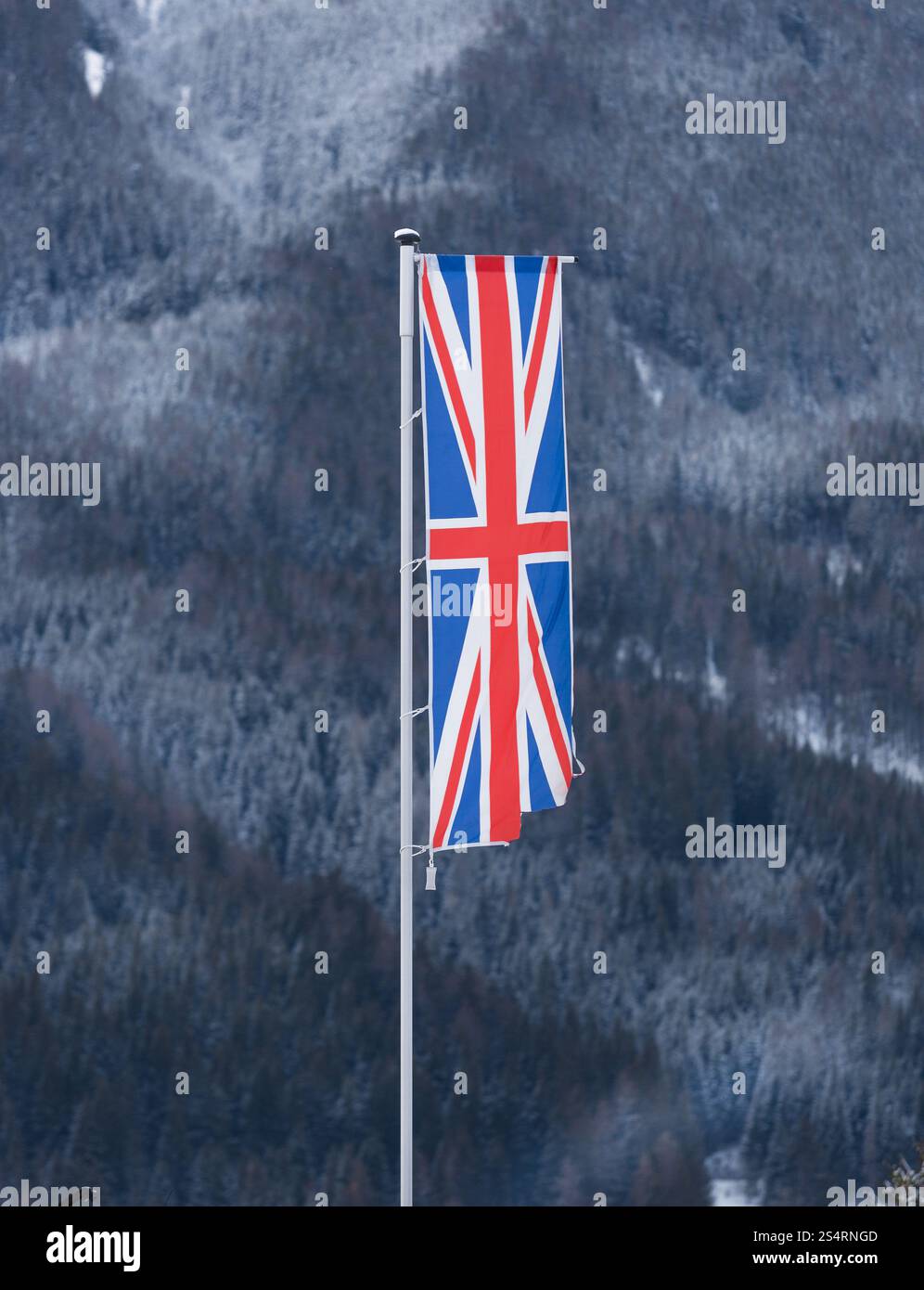 Brandir le drapeau français par le vent contre forêt couverte par la neige Banque D'Images