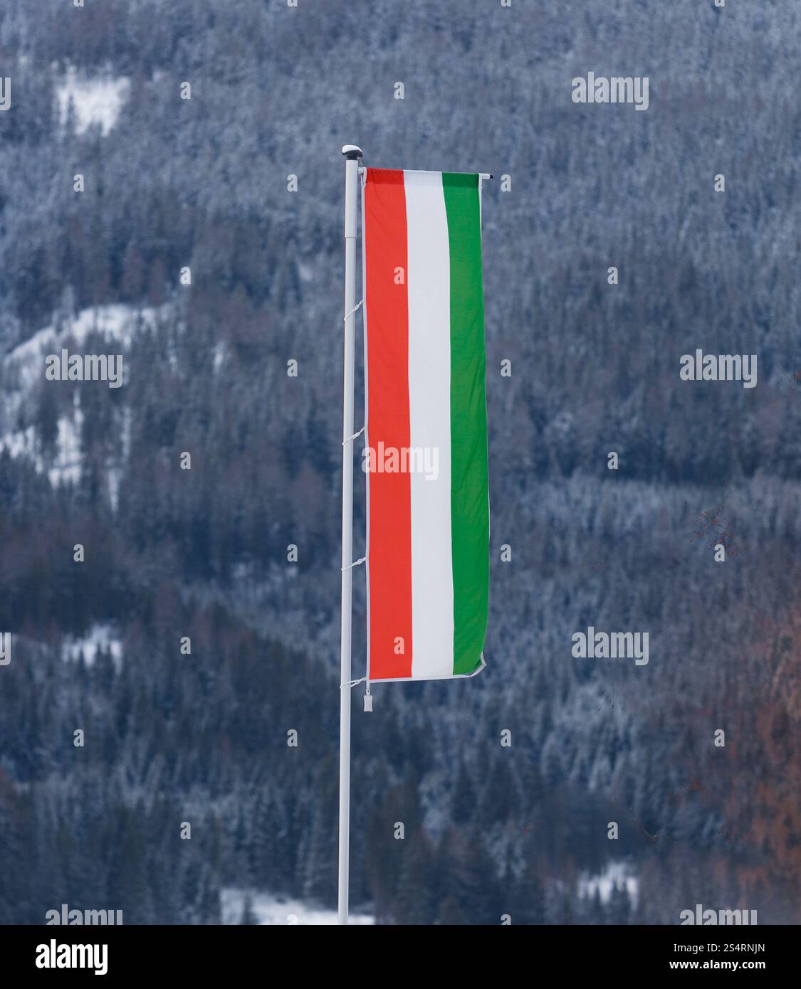 Drapeau hongrois sur les grands pôles contre sapin recouvert de neige Banque D'Images