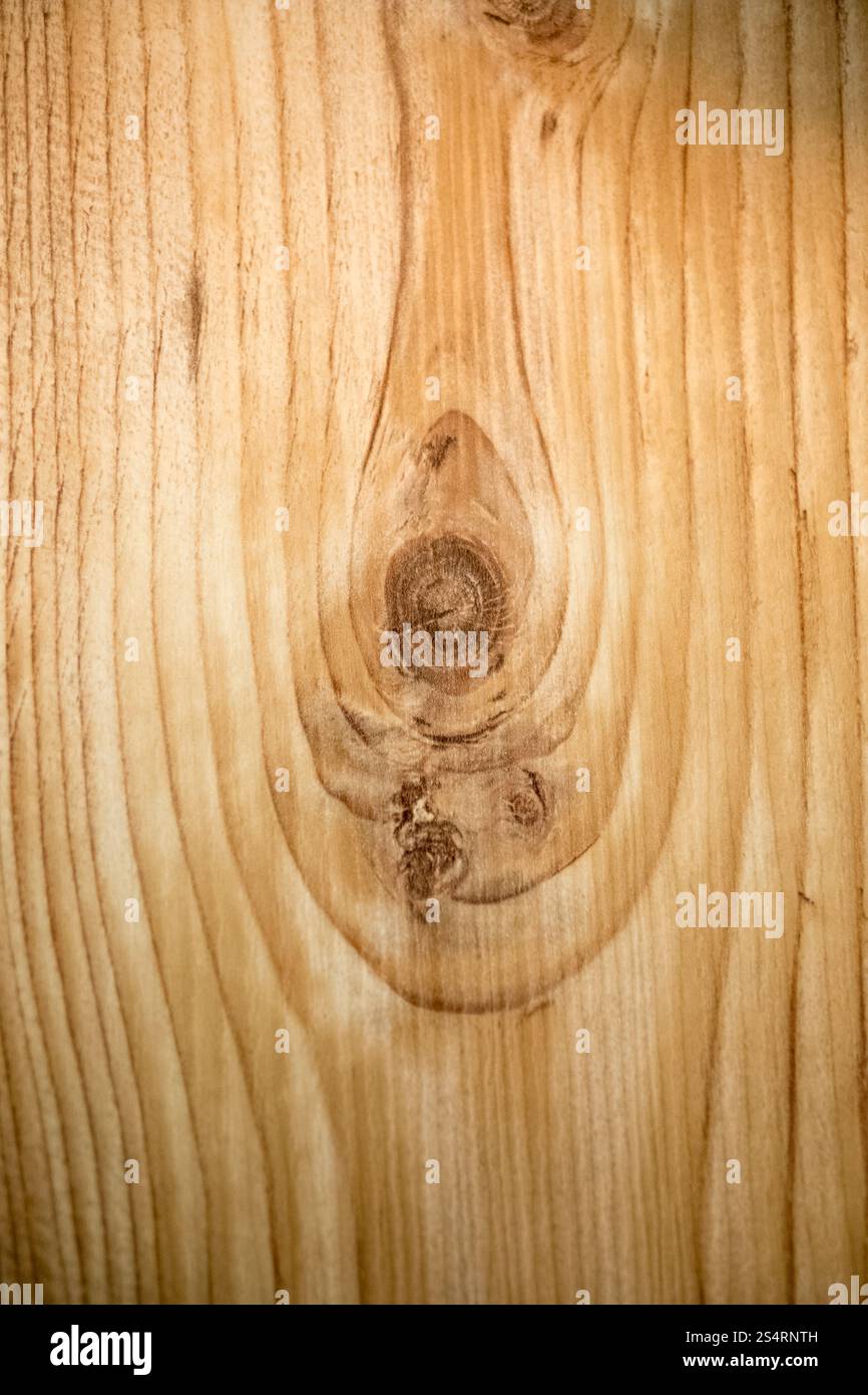Photo gros plan de texture avec des cercles en bois Banque D'Images