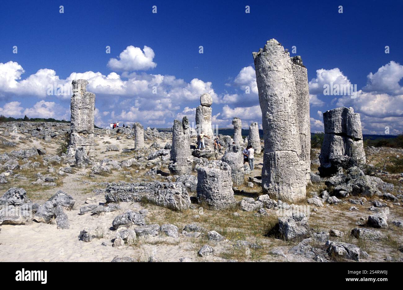 La forêt de pierre près de la ville de Varna sur la mer Noire en Bulgarie en Europe de l'est. EUROPE BULGARIE VARNA Banque D'Images