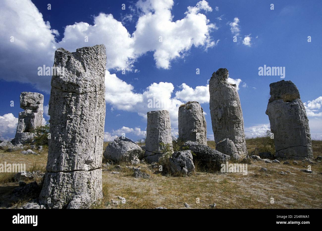 La forêt de pierre près de la ville de Varna sur la mer Noire en Bulgarie en Europe de l'est. EUROPE BULGARIE VARNA Banque D'Images