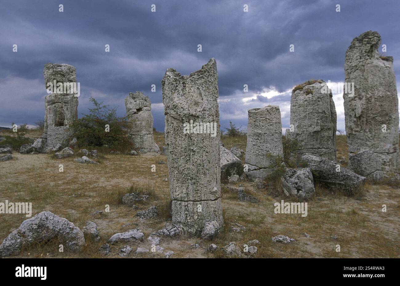 La forêt de pierre près de la ville de Varna sur la mer Noire en Bulgarie en Europe de l'est. EUROPE BULGARIE VARNA Banque D'Images