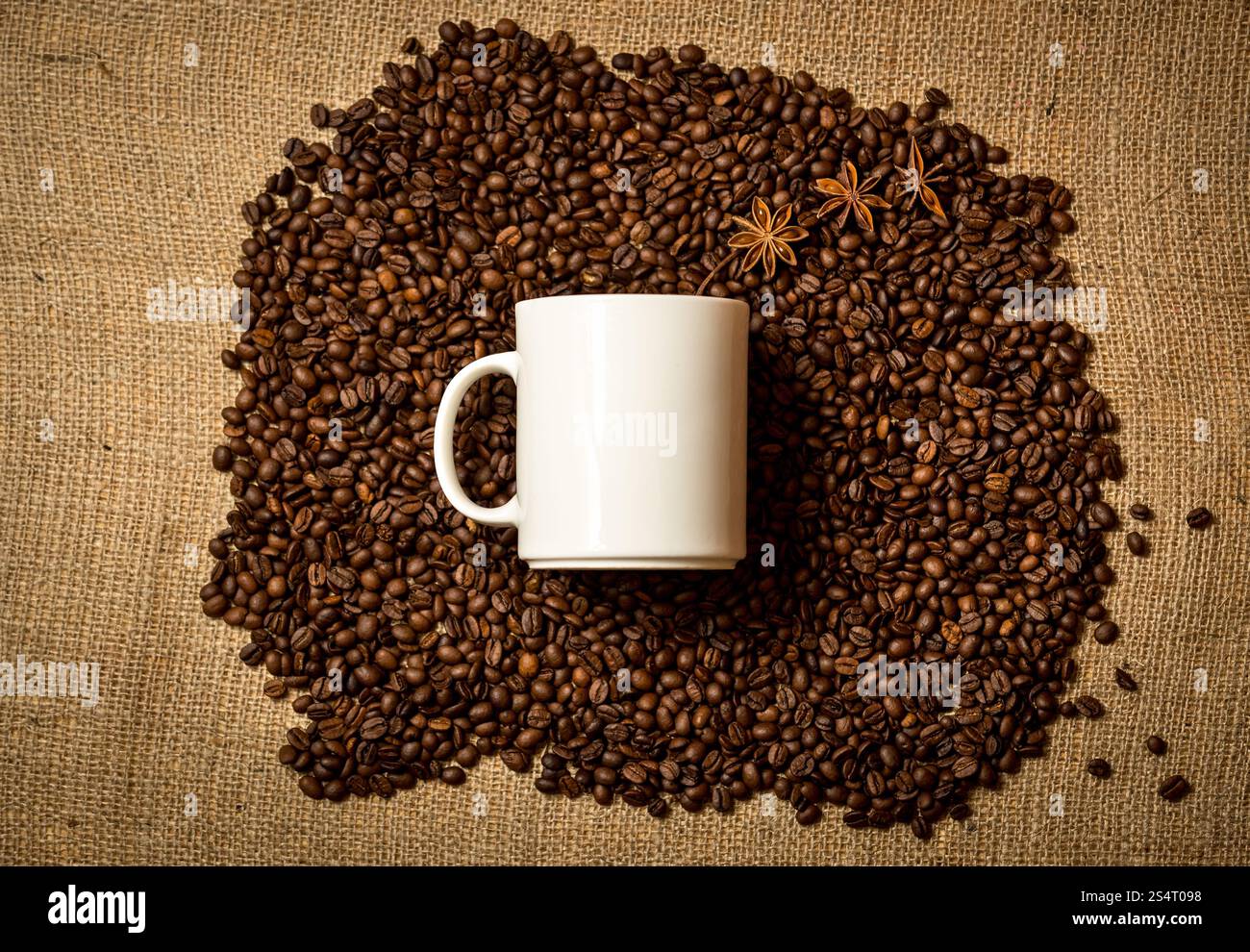 Grand mug blanc couché sur tas de grains de café torréfiés sur toile Banque D'Images
