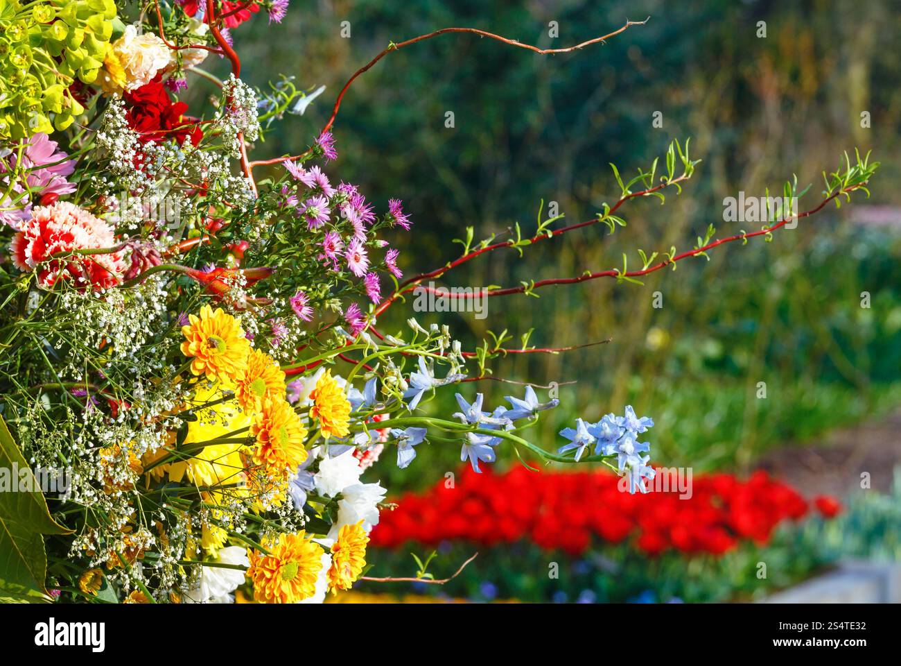 Grandes fleurs multicolores bouquet sur spring park Banque D'Images