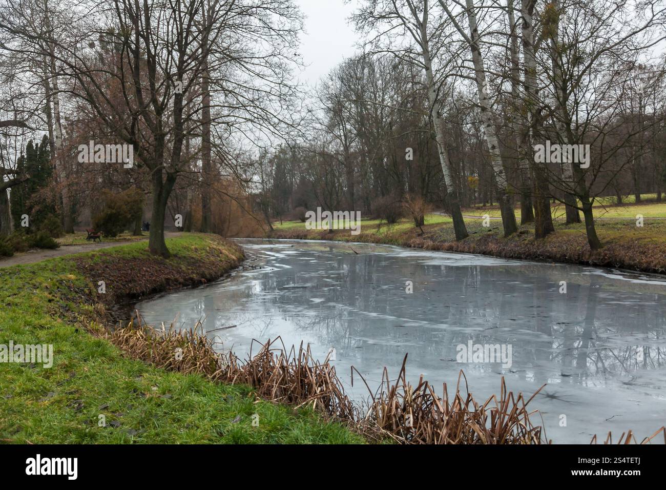 Belle vue sur rivière à park couvert de glace Banque D'Images