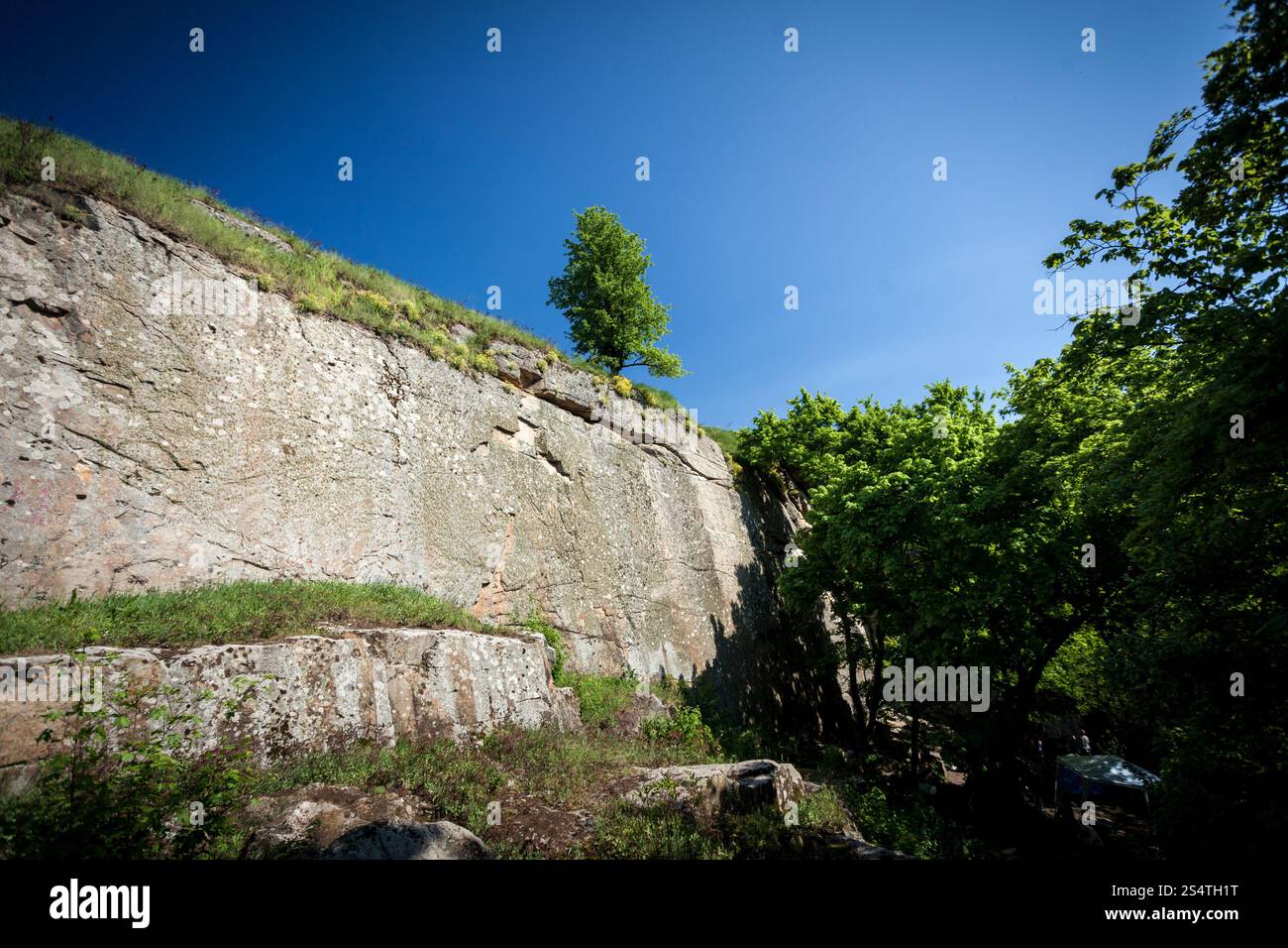 Photo de lonely tree growing on haut de Steep Rock Banque D'Images