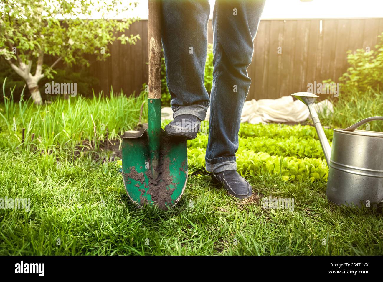 Photo gros plan de l'homme tenant le pied sur la pelle à jardin à sunny day Banque D'Images