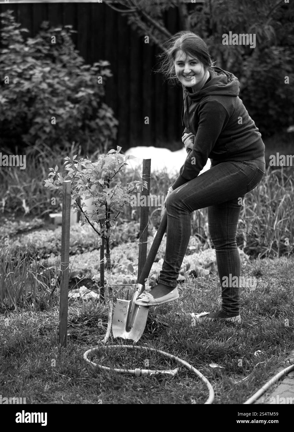 Noir et blanc la photo d'une femme travaillant sur lit de jardin avec pelle Banque D'Images Noir et blanc la photo d'une femme travaillant sur lit de jardin avec pelle Banque D'Images