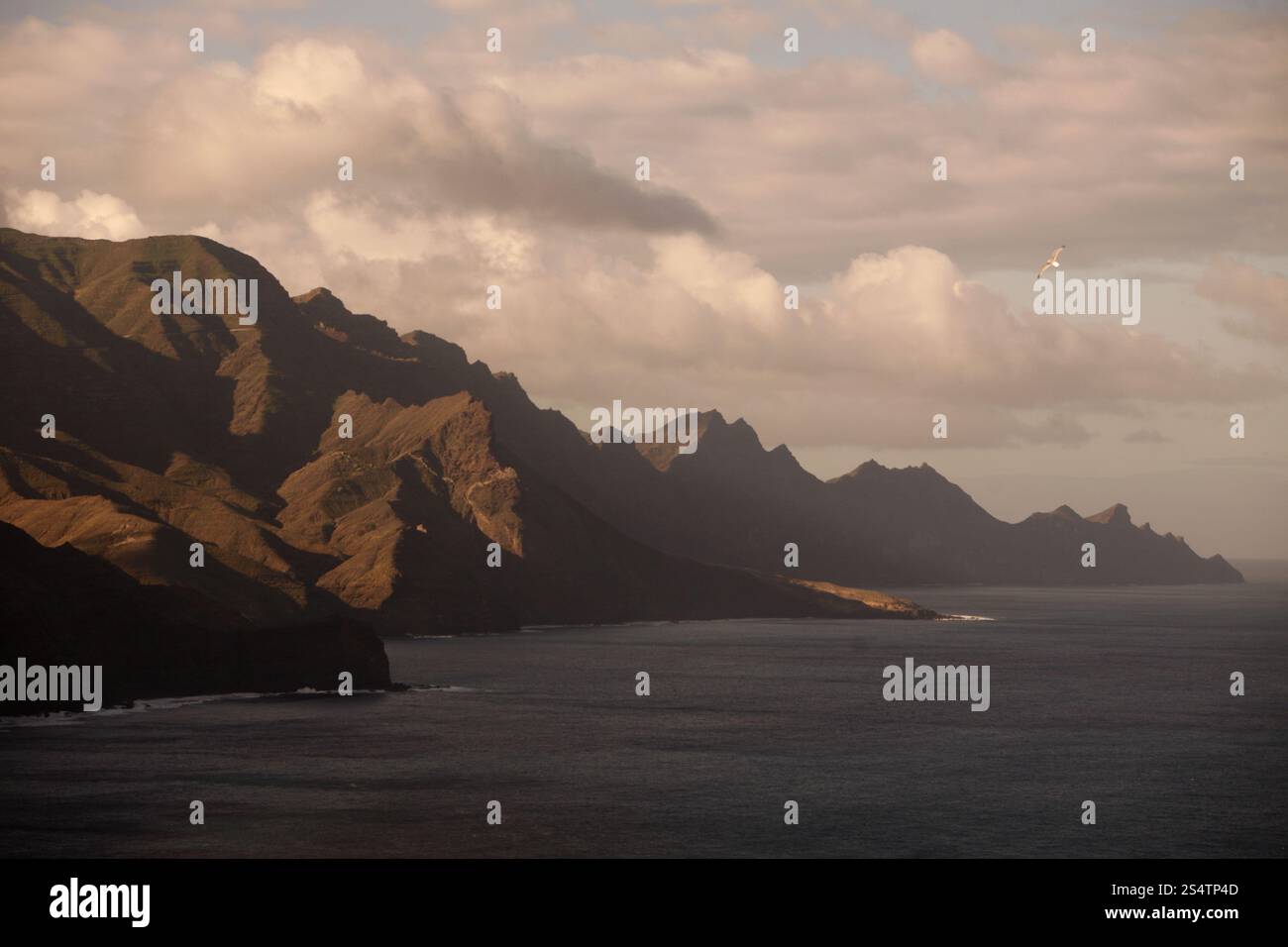 La côte ouest sur l'île des Canaries en Espagne dans l'océan Atlantique. EUROPE CANARIES ILE GRAN CANARY Banque D'Images