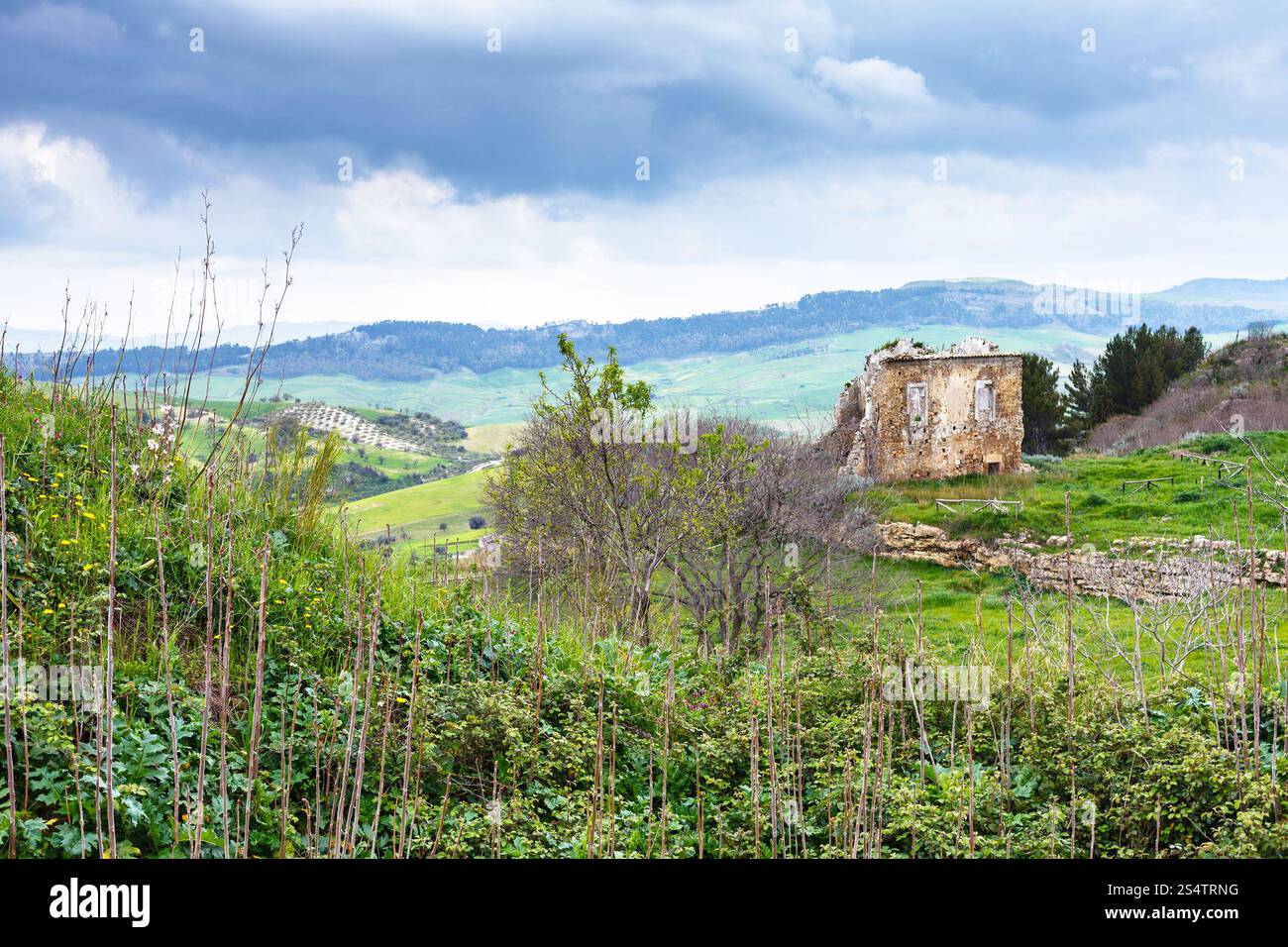 Paysage d'anciennes ruines grecques dans la zone archéologique de Morgantina, Sicile, Italie Banque D'Images