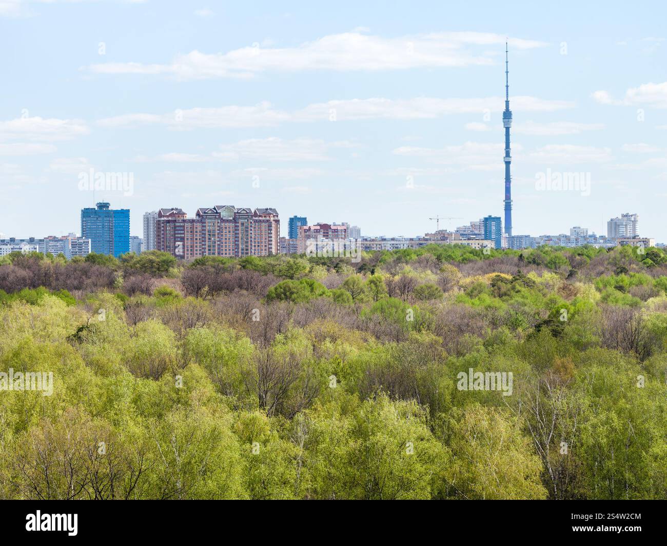 Ville moderne et bois verts au printemps Banque D'Images