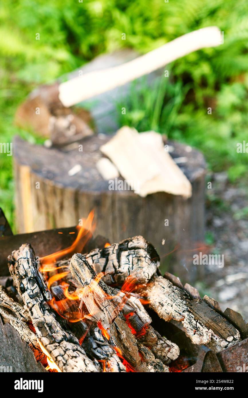 La combustion de bois dans l'air extérieur brazier close up avec ax dans une souche on background Banque D'Images