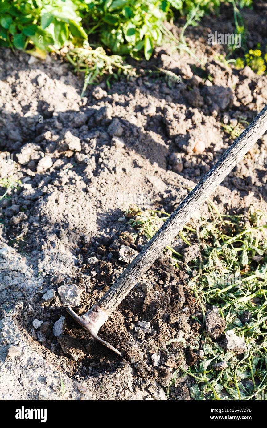 Creusement de lit de jardin en helicoptère en été Banque D'Images