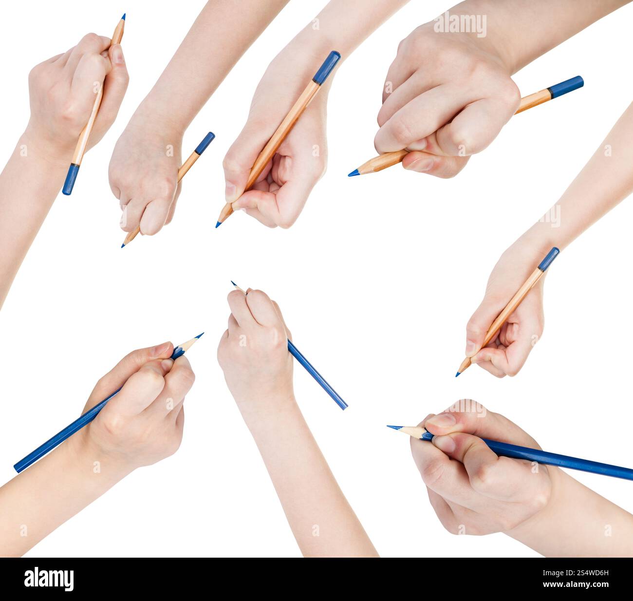 Jeu de mains attirer par crayon bleu isolé sur fond blanc Banque D'Images