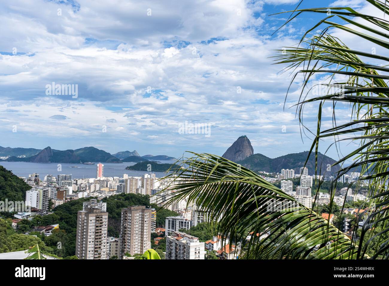 Vue de Rio de Janeiro depuis Favela Pereira da Silva, Brésil. Banque D'Images