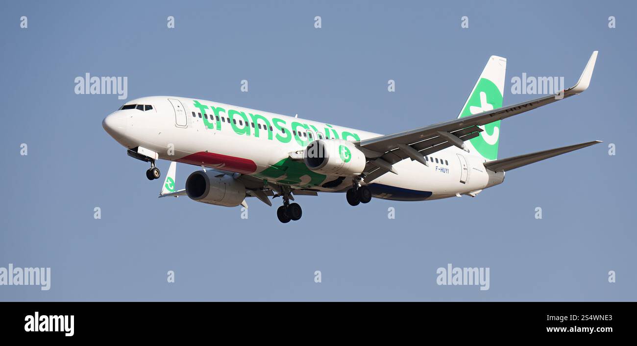 Tenerife, Espagne 5 janvier 2025. Boeing 737-86N Transavia France Airlines vole dans le ciel bleu. Atterrissage à l'aéroport de Tenerife Banque D'Images