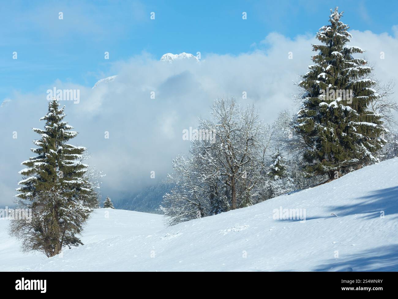 Paysage de montagne d'hiver avec les nuages bas de la pente (Autriche, Bavière). Banque D'Images