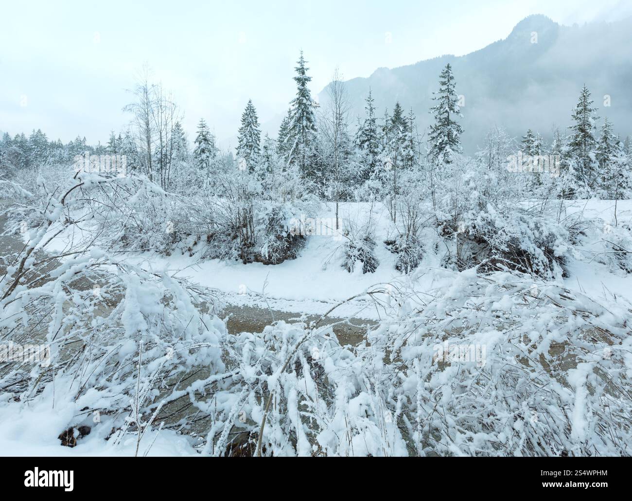 Misty hiver voir avec petit ruisseau de montagne et paysage de neige. Banque D'Images