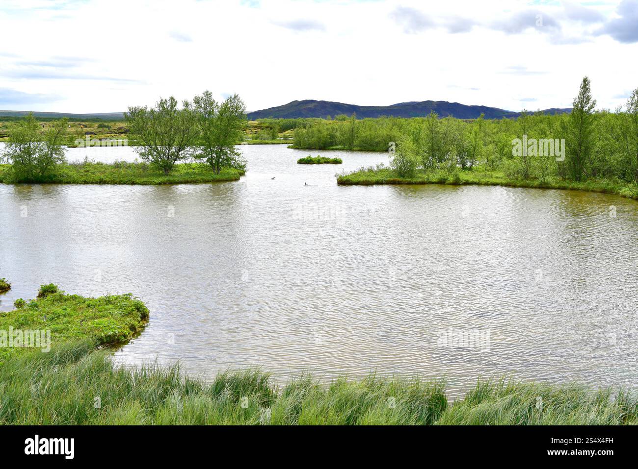 Thingvallavatn est un lac de la vallée du Rift, partie émergée de la crête mi-atlantique. Parc national de Thingvellir, Islande. Banque D'Images