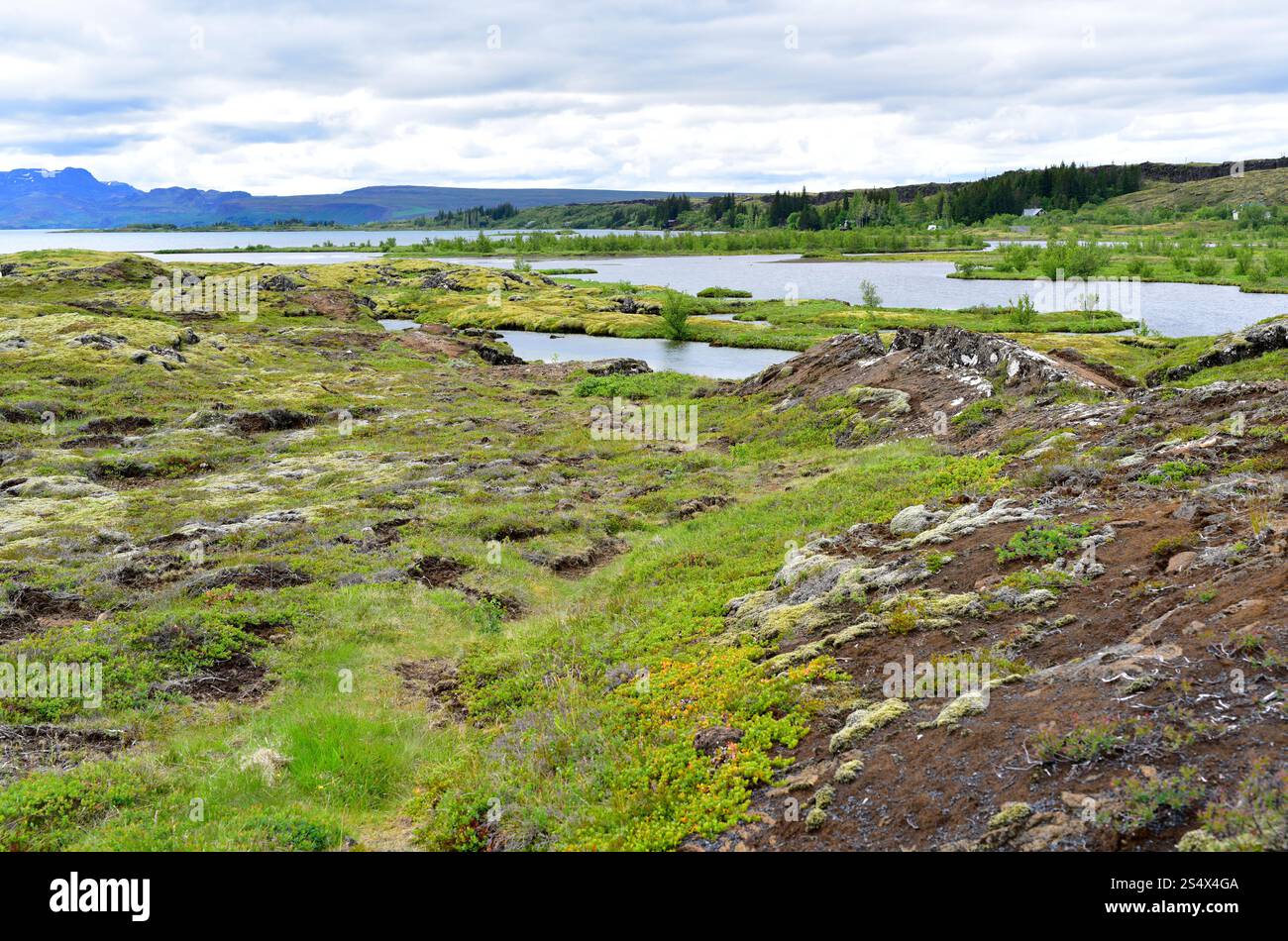 Thingvallavatn est un lac de la vallée du Rift, partie émergée de la crête mi-atlantique. Parc national de Thingvellir, Islande. Banque D'Images