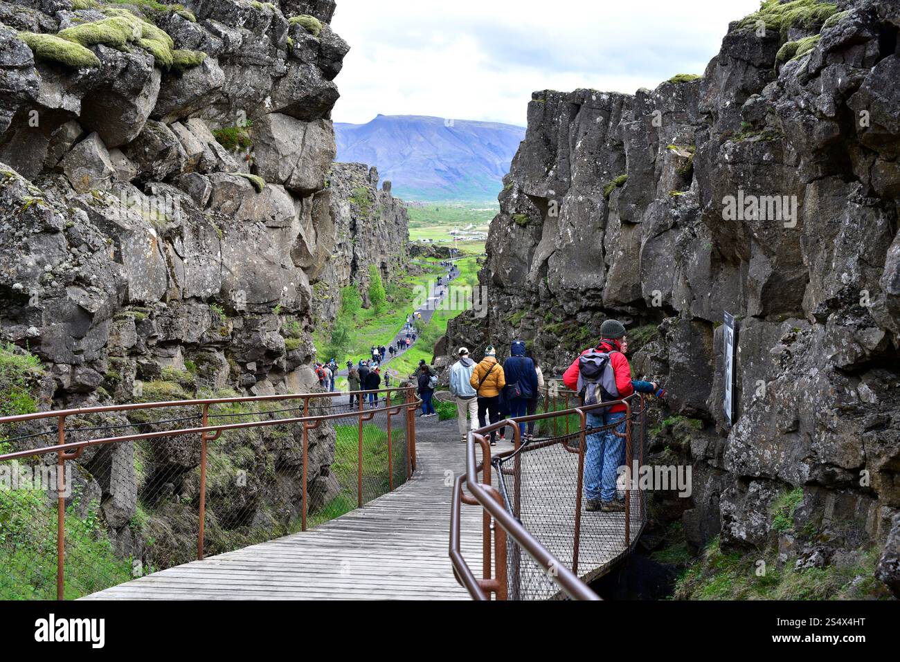 Almannagjá faille marque la séparation entre la plaque américaine (à gauche) et la plaque eurasienne (à droite). Parc national de Thingvellir, Islande. Banque D'Images
