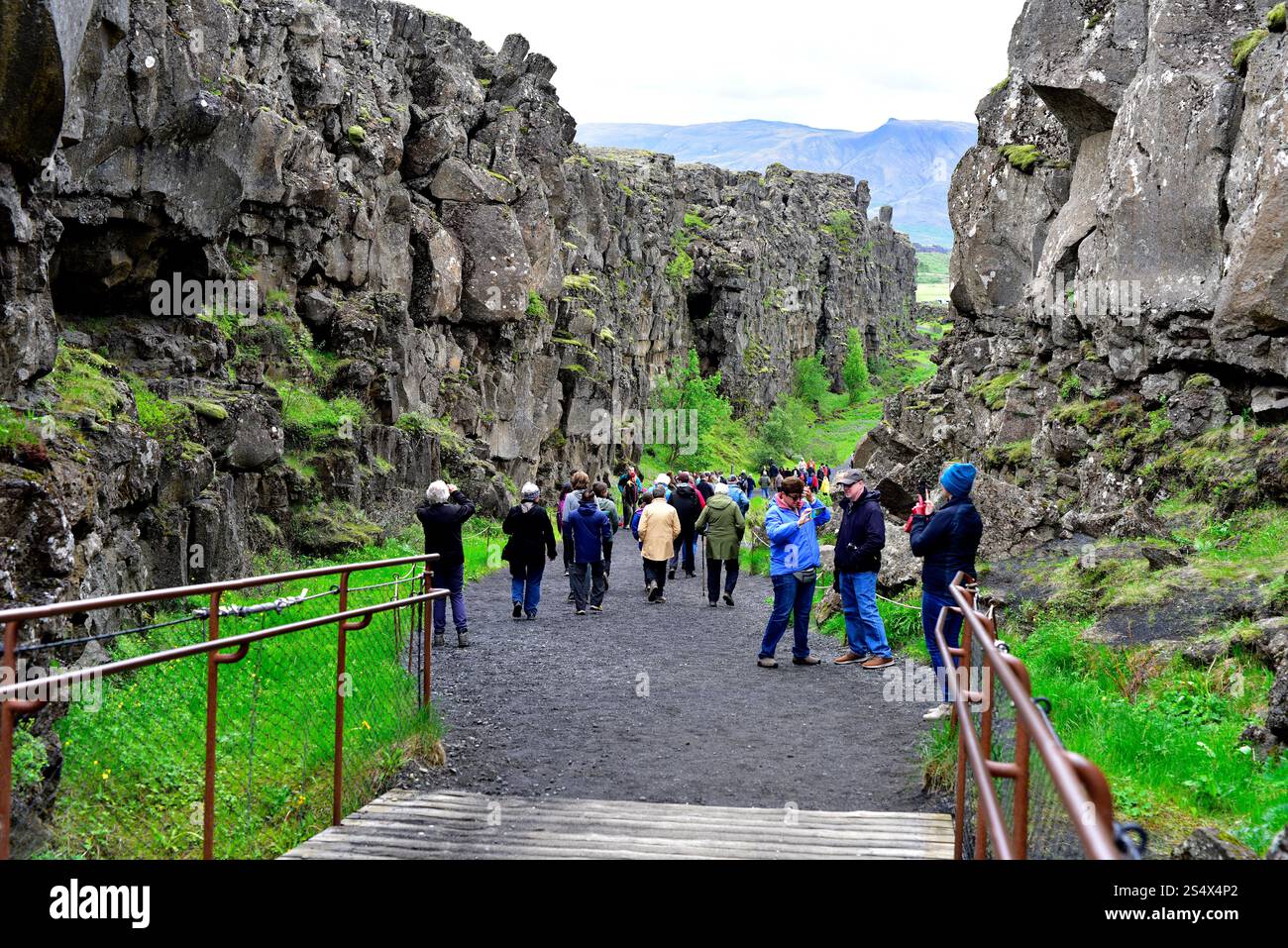 Almannagjá faille marque la séparation entre la plaque américaine (à gauche) et la plaque eurasienne (à droite). Parc national de Thingvellir, Islande. Banque D'Images