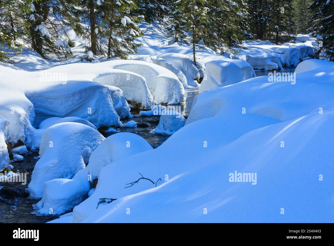 Petit ruisseau de montagne avec des bancs de neige sur les bords Banque D'Images