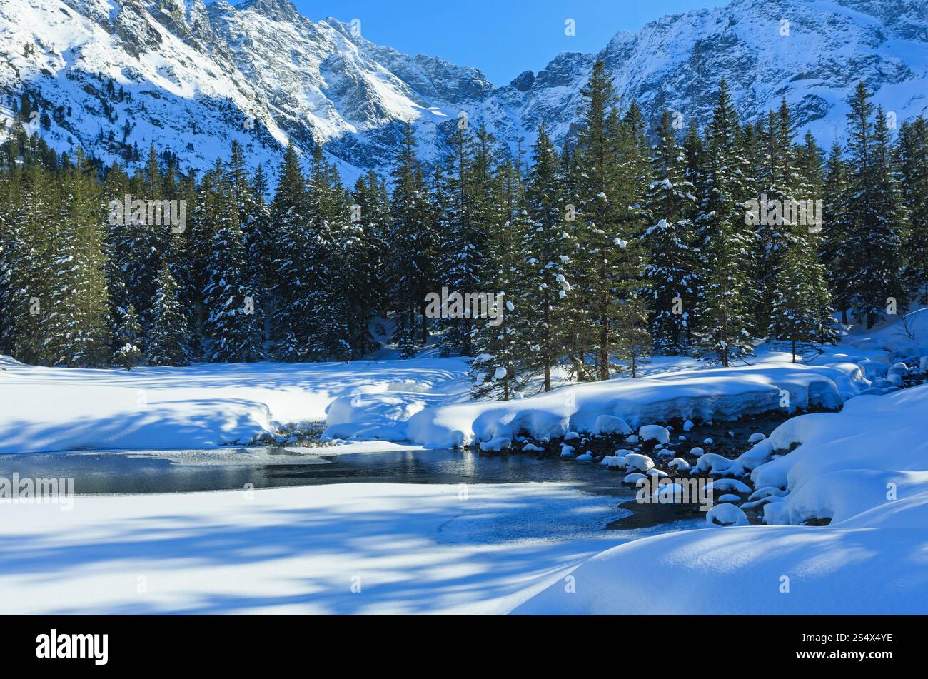 Petit ruisseau de montagne avec des bancs de neige sur les côtés, et des forêts de sapin. Banque D'Images
