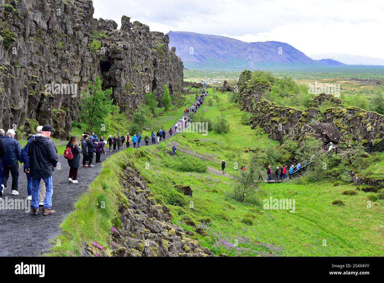 Almannagjá faille marque la séparation entre la plaque américaine (à gauche) et la plaque eurasienne (à droite). Parc national de Thingvellir, Islande. Banque D'Images