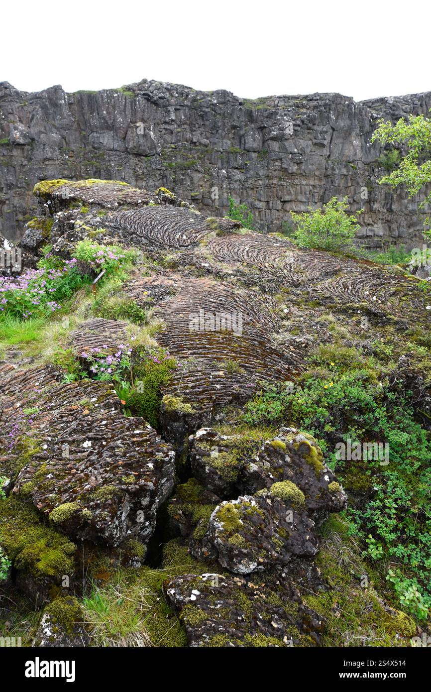 Almannagjá Rift marque la séparation entre la plaque américaine et la plaque eurasienne. Lave Pahoehoe. Parc national de Thingvellir, Islande. Banque D'Images