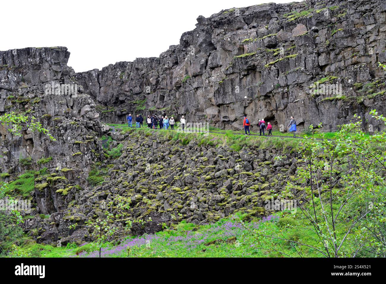 Almannagjá Rift marque la séparation entre la plaque américaine et la plaque eurasienne. Parc national de Thingvellir, Islande. Banque D'Images