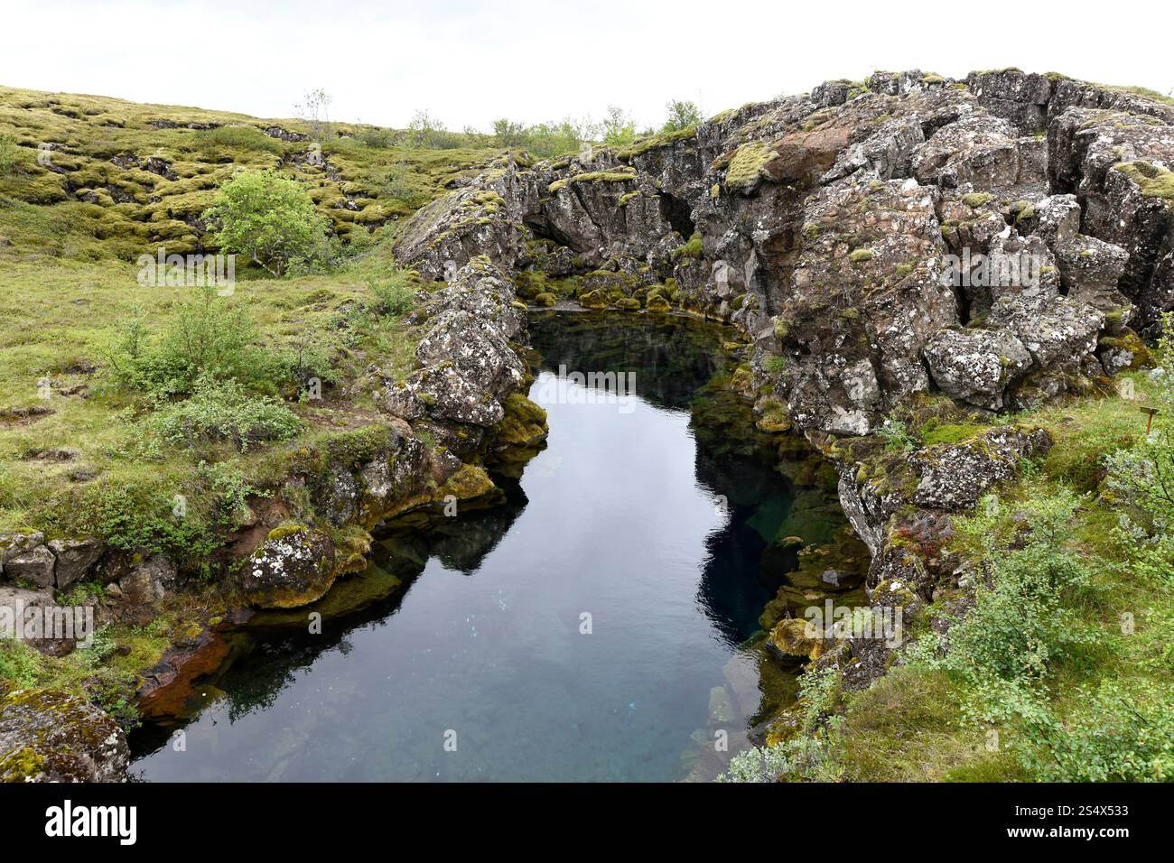 Flosagjá Rift marque la séparation entre la plaque américaine et la plaque eurasienne. Parc national de Thingvellir, Islande. Banque D'Images