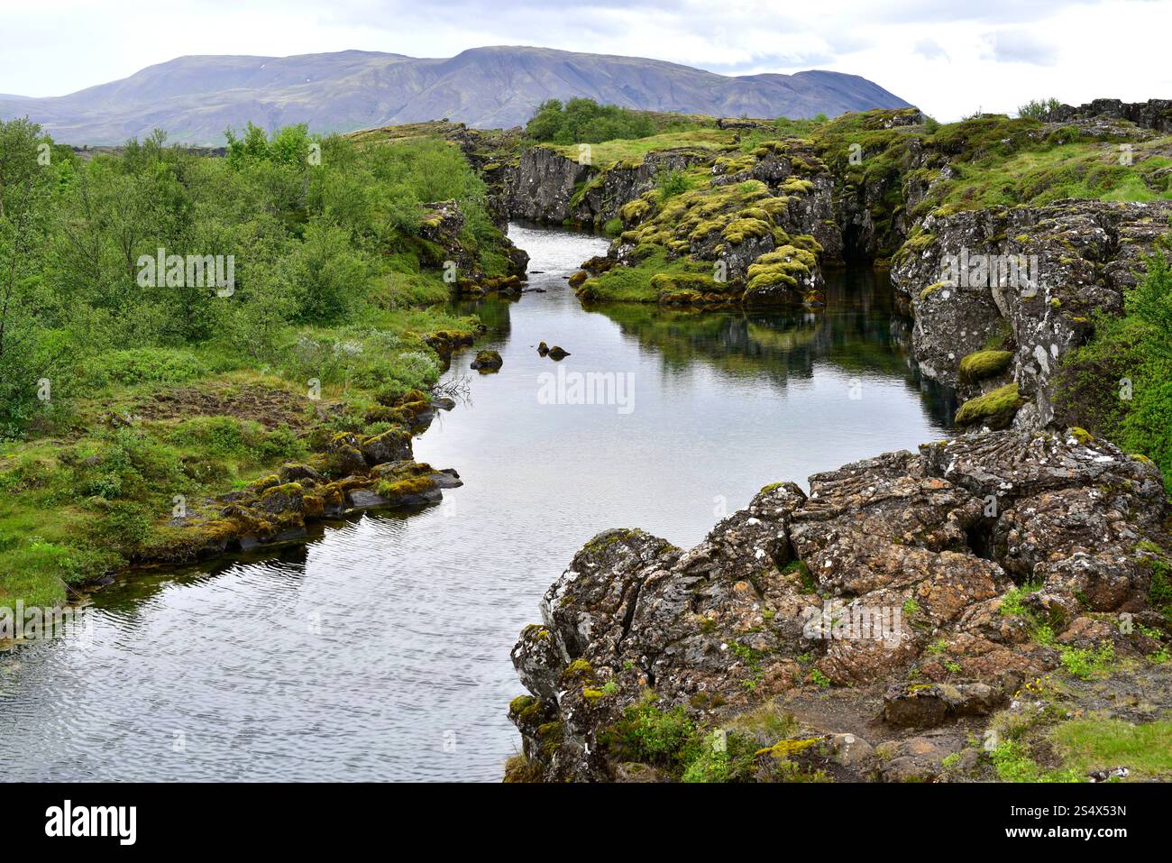 Flosagjá Rift marque la séparation entre la plaque américaine et la plaque eurasienne. Parc national de Thingvellir, Islande. Banque D'Images