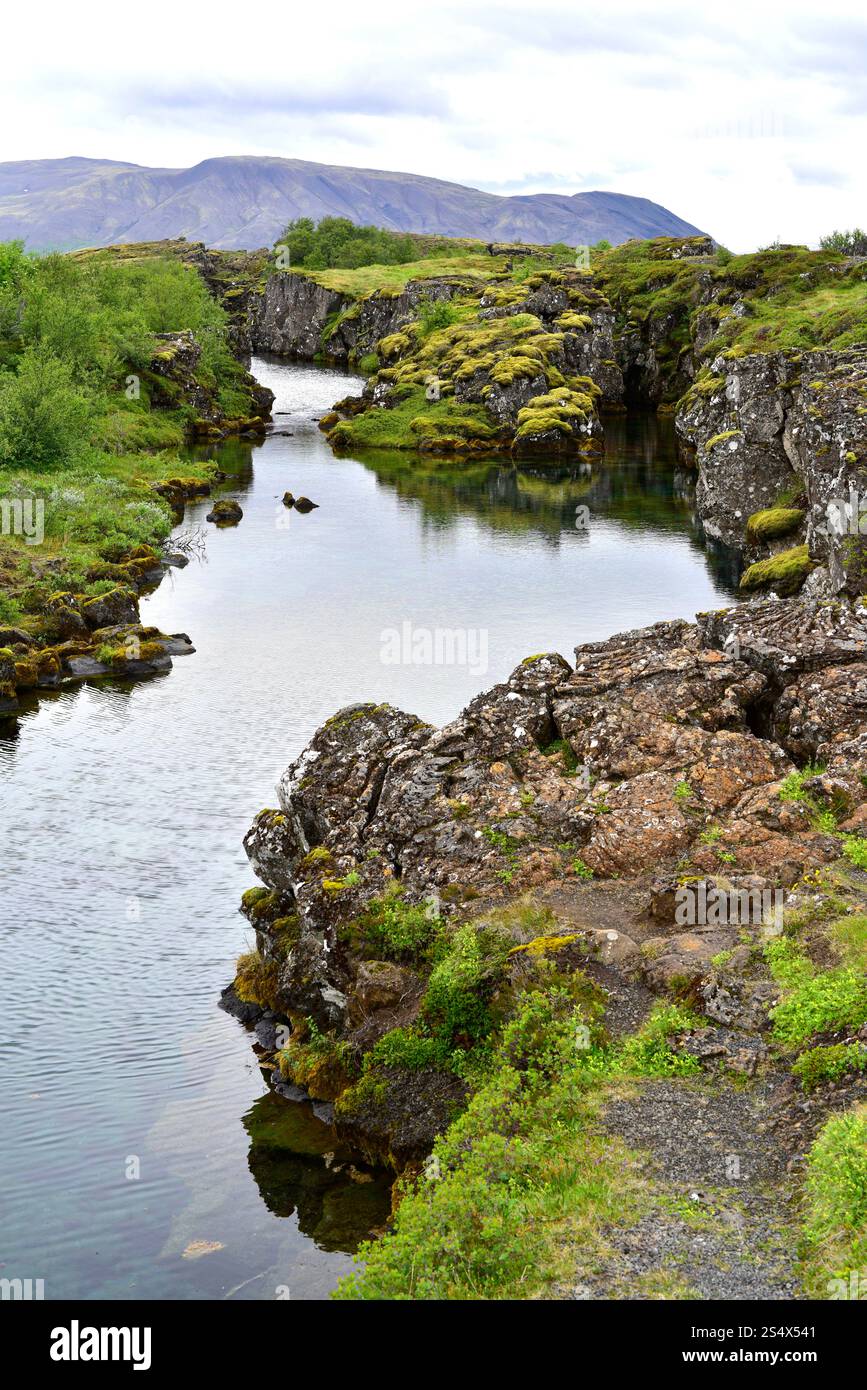 Flosagjá Rift marque la séparation entre la plaque américaine et la plaque eurasienne. Parc national de Thingvellir, Islande. Banque D'Images