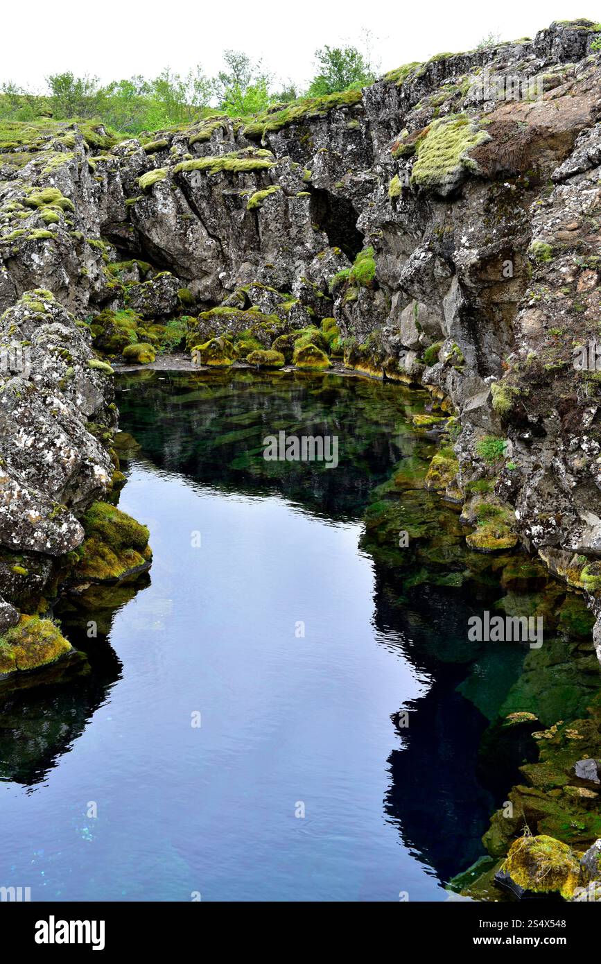 Flosagjá Rift marque la séparation entre la plaque américaine et la plaque eurasienne. Parc national de Thingvellir, Islande. Banque D'Images